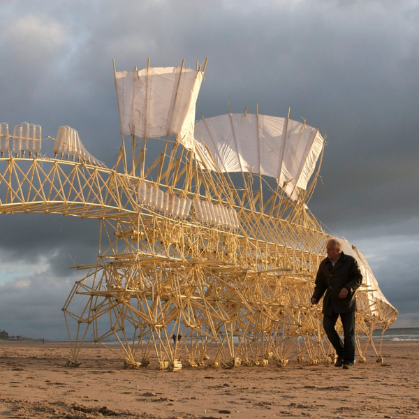 Animated by Wind, Theo Jansen's 'Strandbeest' Sculptures Became Flying Creatures
